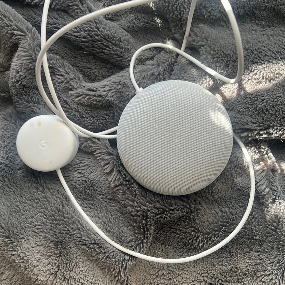 Google Home - Picture 1 of 1